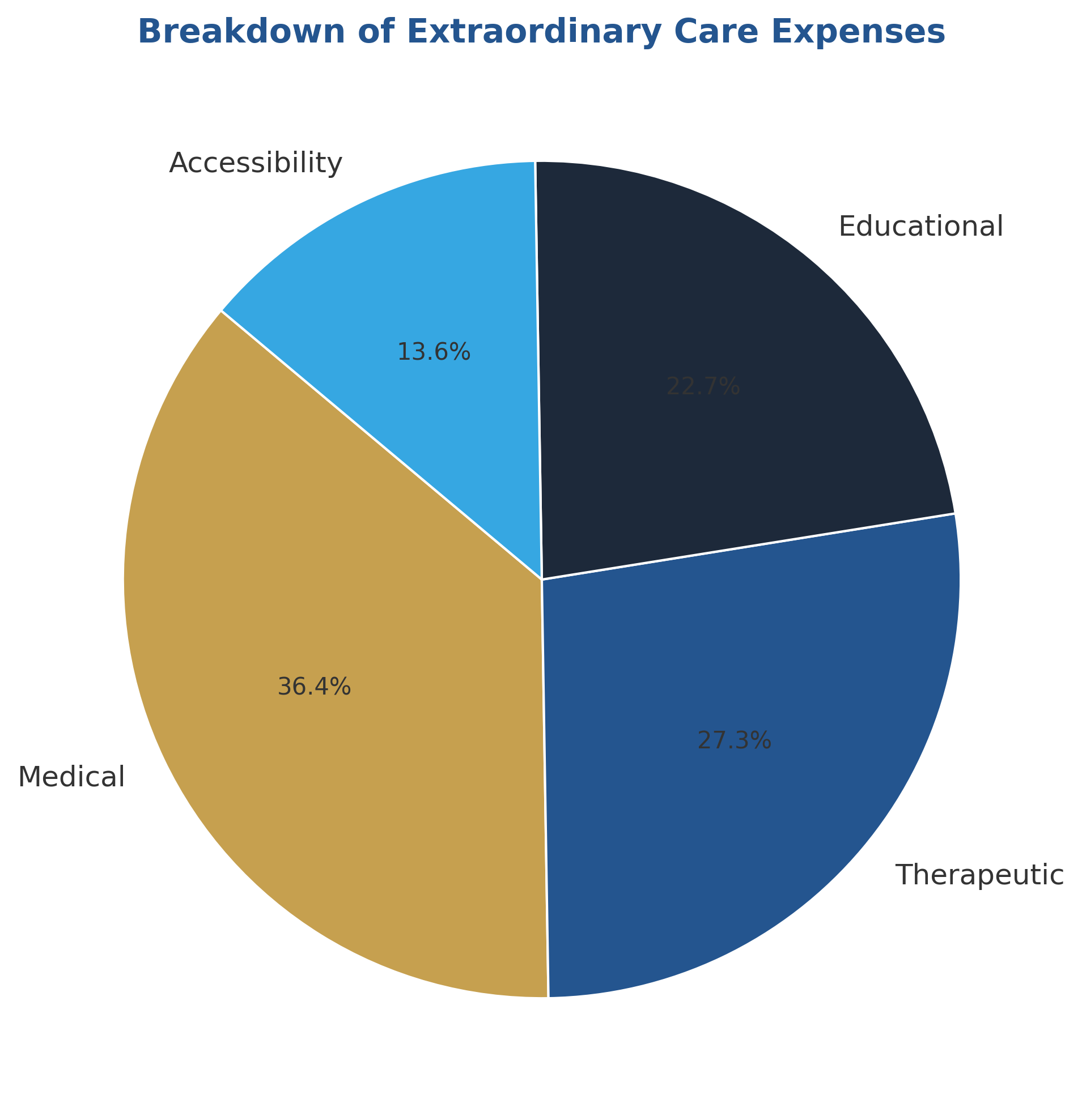 extraordinary_care_expenses_colored breakdown of typical extraordinary care expenses